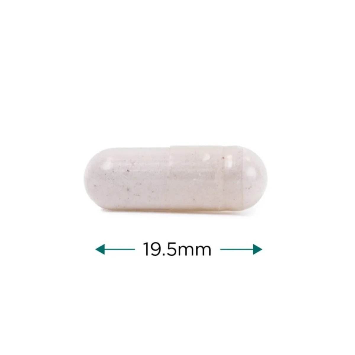 Cytoplan Vitamin B12 Capsule